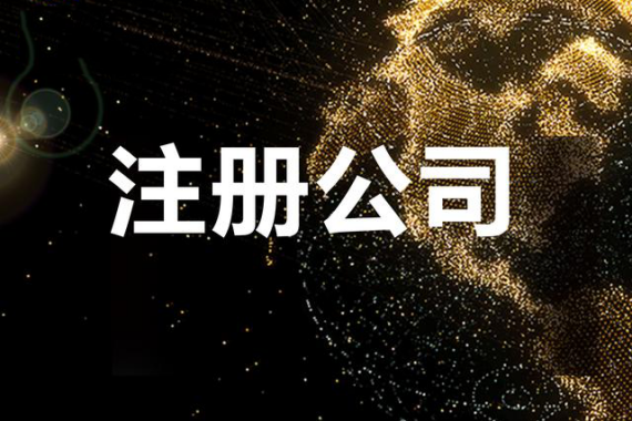 全程电子化登记的实操陷阱与效率提升技巧
